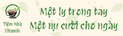 Ảnh bìa Tiệm Nhà Vitamin - Nguyễn Kiệm
