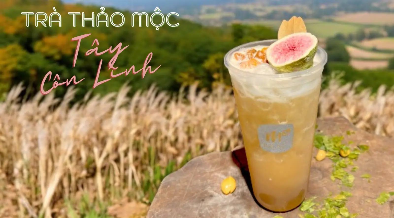 Ảnh bìa Main Tea - Tiệm Trà Trái Cây Tươi