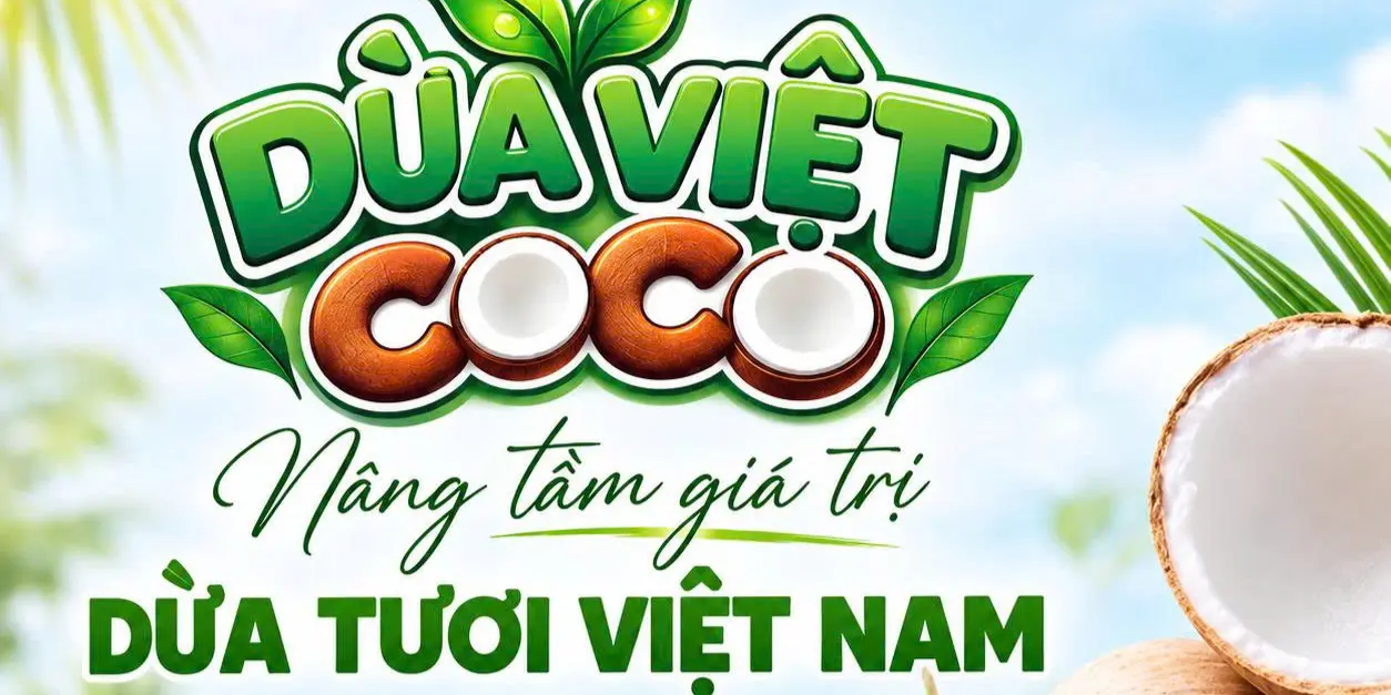 Ảnh bìa DỪA VIỆT COCO - Trung Tâm Thương Mại TSQ Mộ Lao