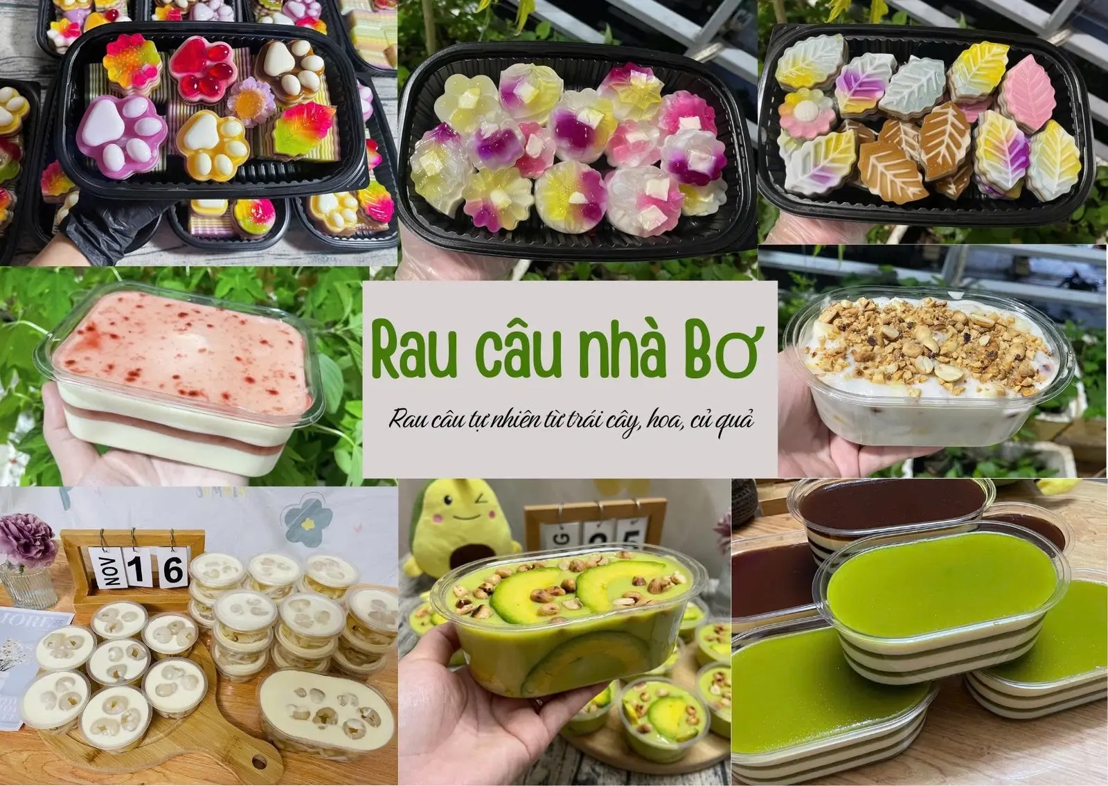 Ảnh bìa Rau Câu Nhà Bơ - Đường 14