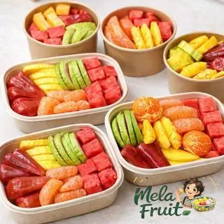 Ảnh đại diện Mela Fruit - Trái Cây Mẹ Làm - Nguyễn Hữu Cảnh