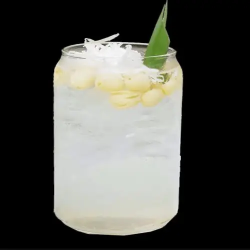 Ảnh bìa Sen Dừa Đặc Biệt - Lê Trọng Tấn