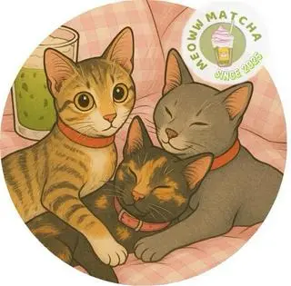 Ảnh đại diện Meoww Matcha - Đường Số 13