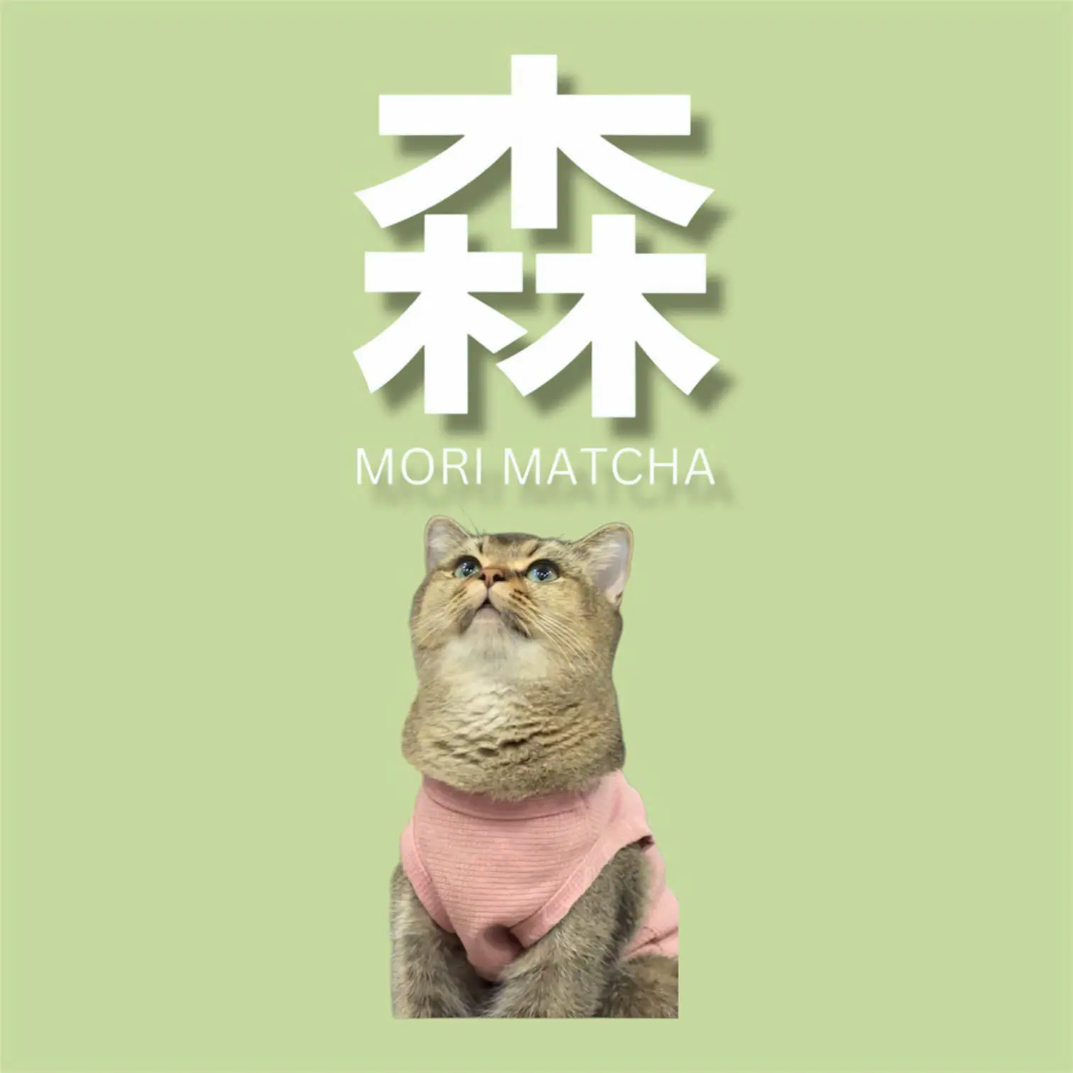 Ảnh bìa Mori Matcha - Matcha Latte - Trung Kính