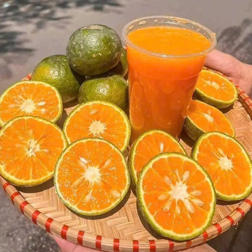 Ảnh bìa Quán Nước Cafe 1988 - Giáp Nhất