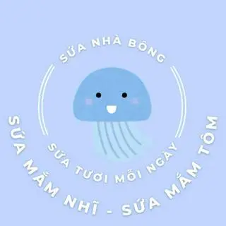 Ảnh đại diện Sứa Nhà Bông - An Dương