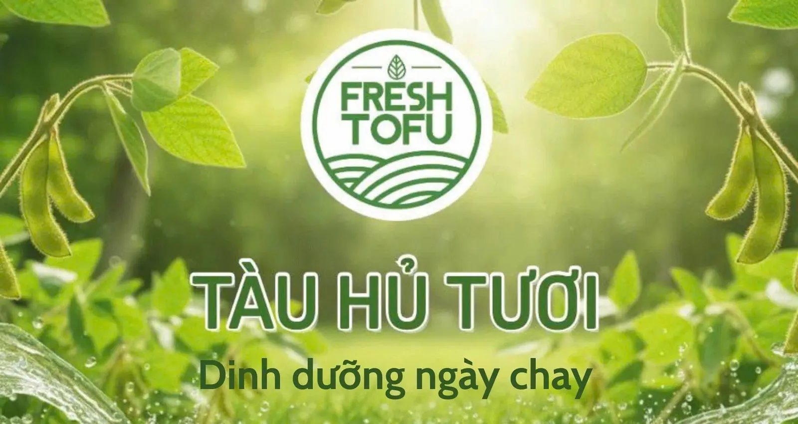 Ảnh bìa Tàu Hủ Tươi - Trần Văn Quang