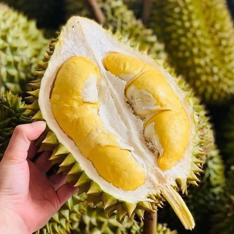 Ảnh bìa Ăn Vặt & Sầu Riêng Đóng Hộp - Tú Phạm Fruits - Quốc Lộ 1K