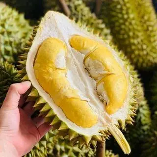 Ảnh đại diện Ăn Vặt & Sầu Riêng Đóng Hộp - Tú Phạm Fruits - Quốc Lộ 1K
