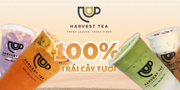 Ảnh bìa Harvest Tea - Đoàn Văn Bơ
