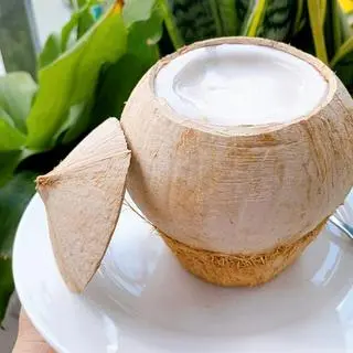 Ảnh đại diện Dừa Xiêm Trần Cảnh - Lê Văn Chí