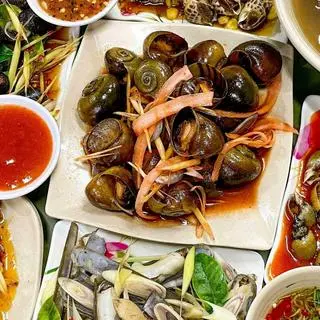 Ảnh đại diện ỐC ĐÊM BIỂN XANH - Tân Thắng