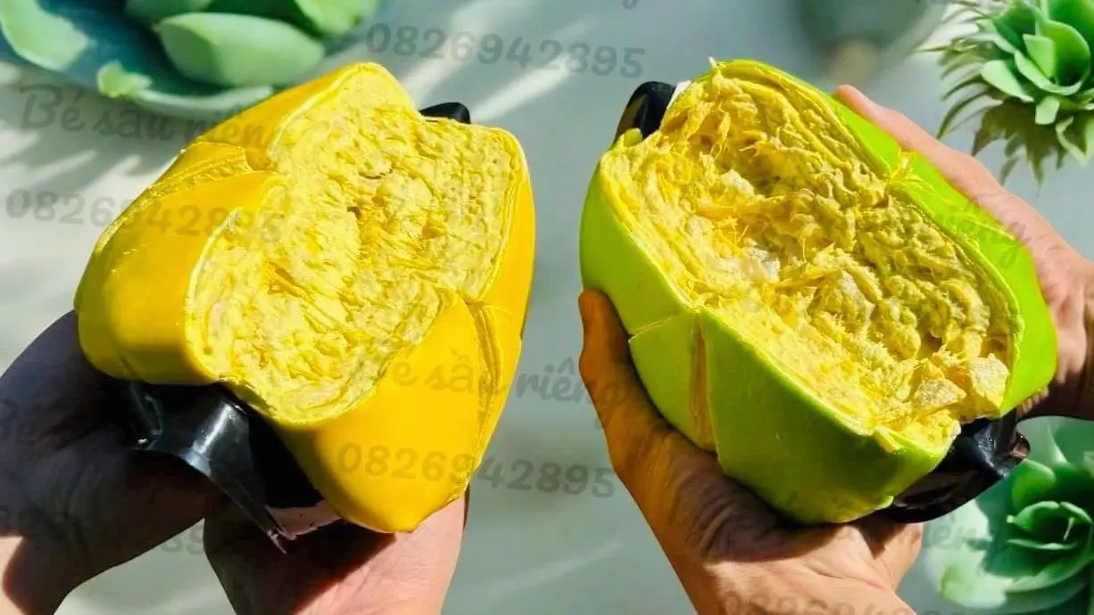 Ảnh bìa Bé Sầu Riêng - Bánh Crep Sầu Riêng & Gà Ủ Muối - Lê Văn Thọ