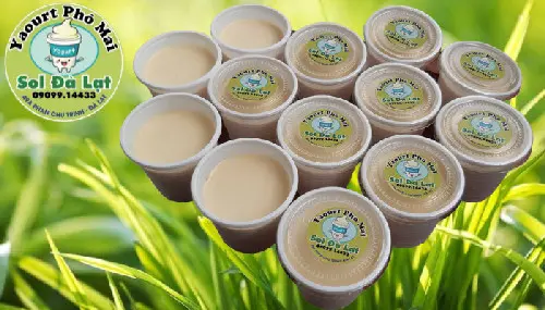 Ảnh bìa SOL ĐÀ LẠT - Sữa Chua Yaourt Và Đặc Sản - Cách Mạng Tháng 8