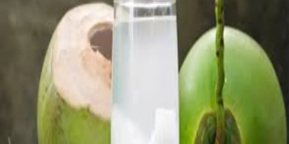 Ảnh bìa Quán Nước Minh Thảo - Bùi Văn Ngữ
