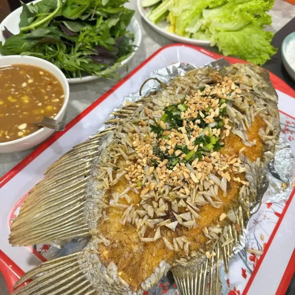 Ảnh bìa Cá Tai Tượng Chiên Xù Linh Đông - Đường Số 35