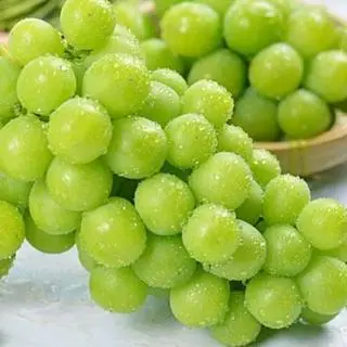 Ảnh đại diện Chợ Tân Trụ - Thực Phẩm Tươi Sạch - Trần Thái Tông
