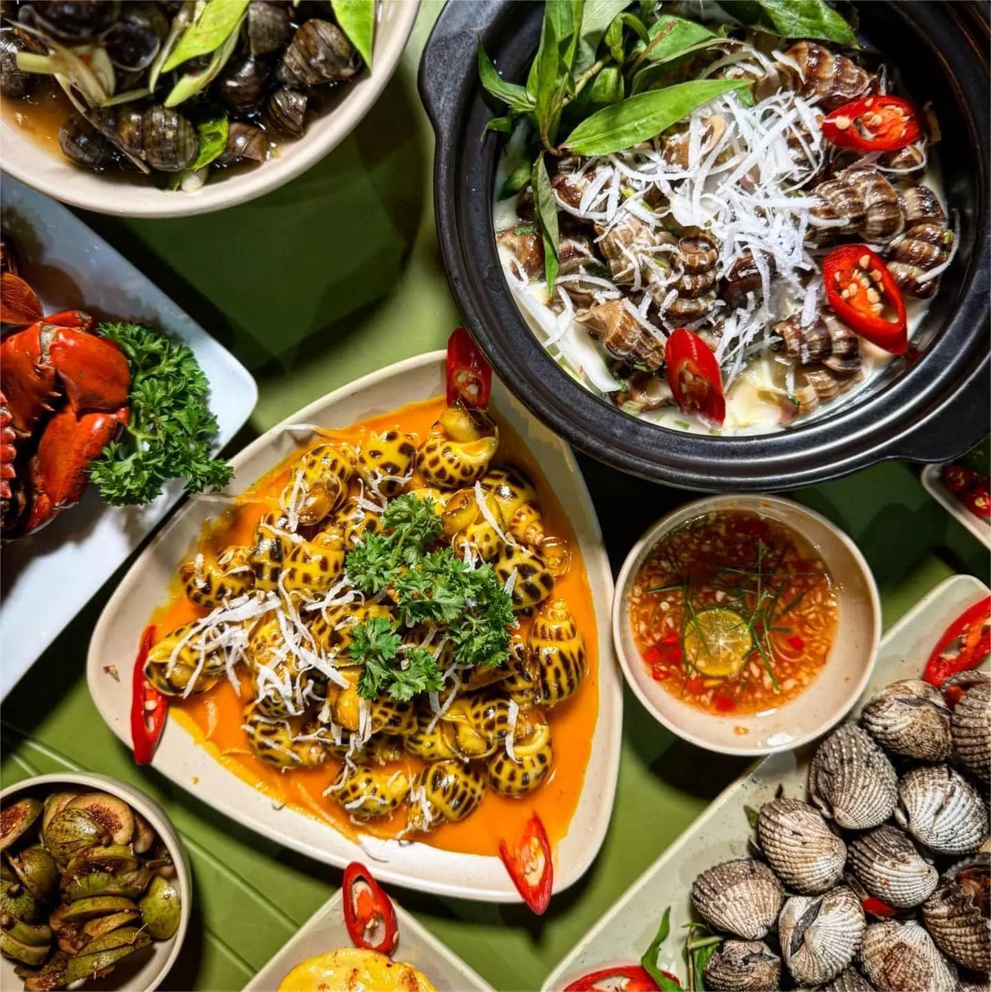 Ảnh bìa Ốc - Thế Giới Ốc - Vũ Trọng Khánh 