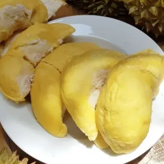 Ảnh bìa Sầu Riêng Miền Tây - Song Hành