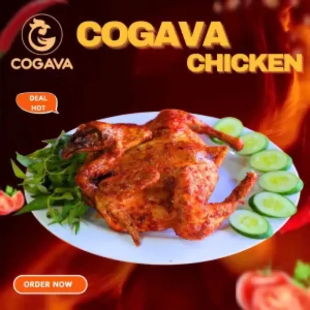 Ảnh bìa Gà Quay Cogava - Nguyễn Ảnh Thủ