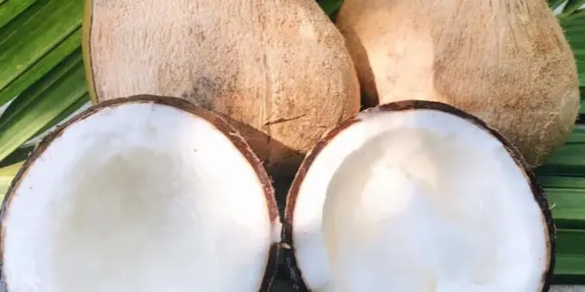 Ảnh bìa Đặc Sản Miền Tây - Dừa Sáp Cầu Kè Trà Vinh & Trái Cây Vườn Nhà - Lê Văn Thịnh Nối Dài
