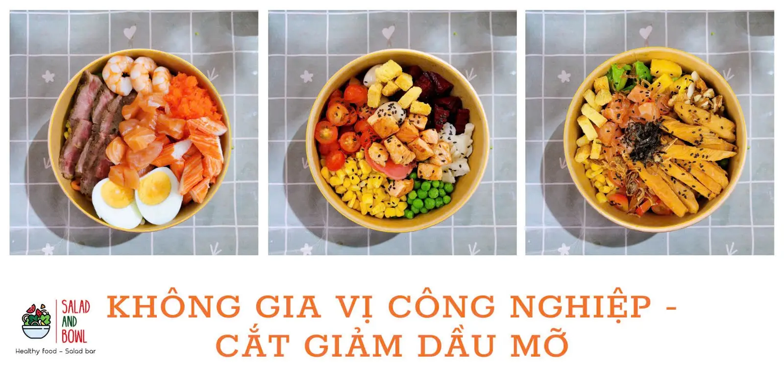 Ảnh bìa Salad And Bowl - Trần Thiện Chánh