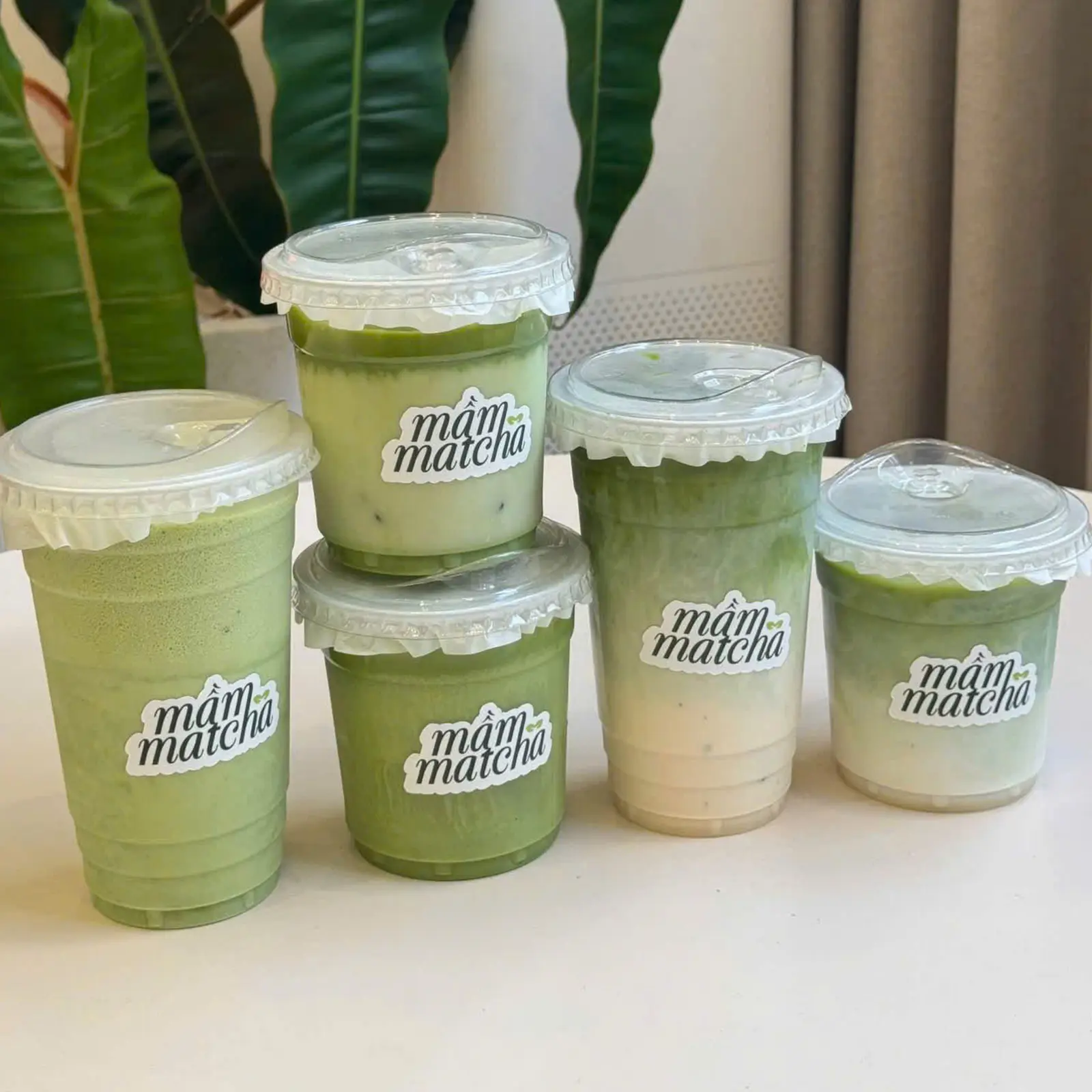 Ảnh bìa Mầm Matcha - Phạm Thế Hiển