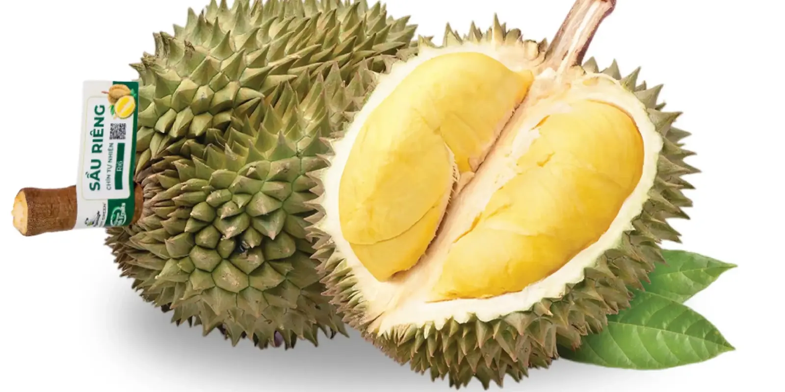 Ảnh bìa Sầu Riêng Bốn Mùa Sạch - Cách Mạng Tháng 8