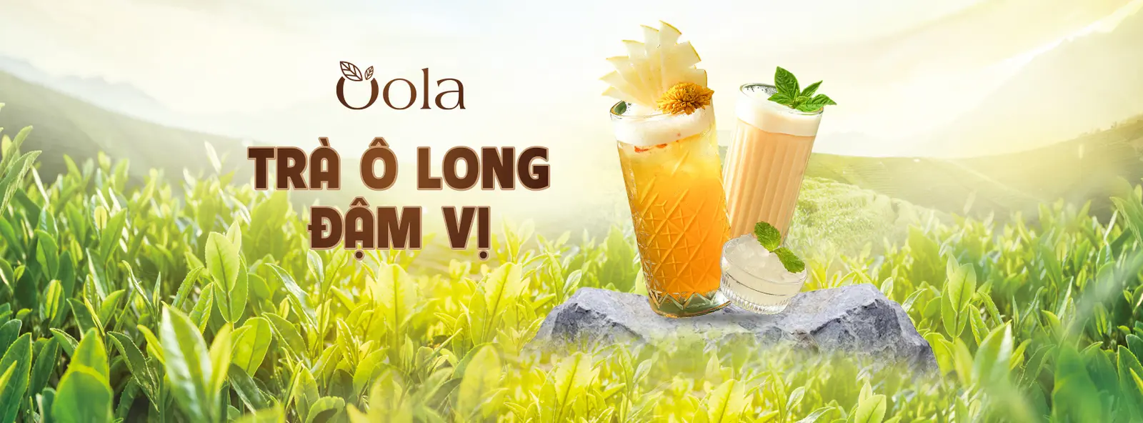 Ảnh bìa Oola Trà Ô Long Đậm Vị - Nguyễn Cơ Thạch