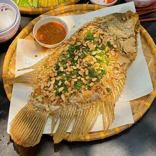 Ảnh đại diện CÁ TAI TƯỢNG CHIÊN XÙ - BẾP DÌ XÃ - Nguyễn Oanh