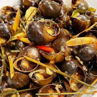 Ảnh đại diện Ốc Ngon Vĩnh Lộc - Quách Điêu