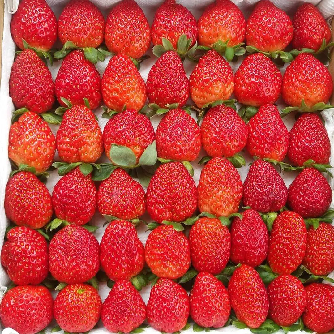 Ảnh bìa NA FRUITS BOX - Trái Cây Tươi Cắt Sẵn - Đường Số 7